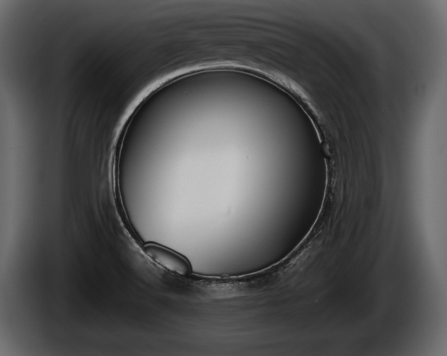 X0000085731516200703231037