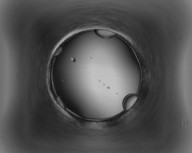 X0000085731518200703231037