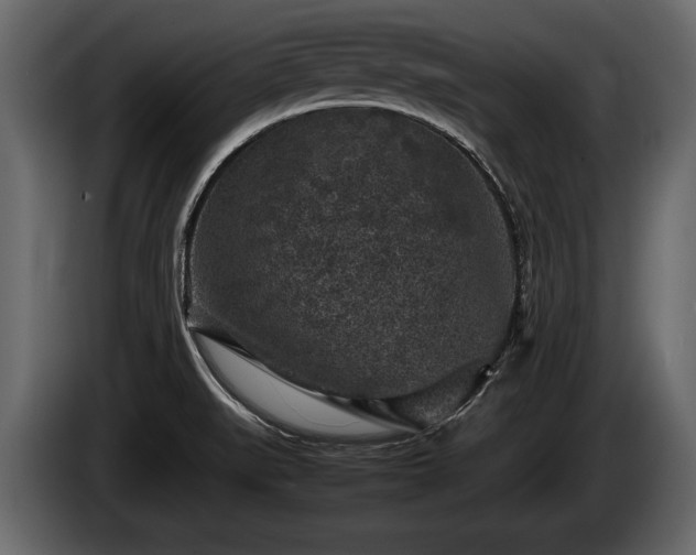 X0000085731519200703231037