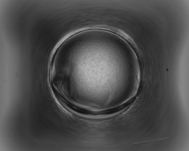 X0000085731520200703231037