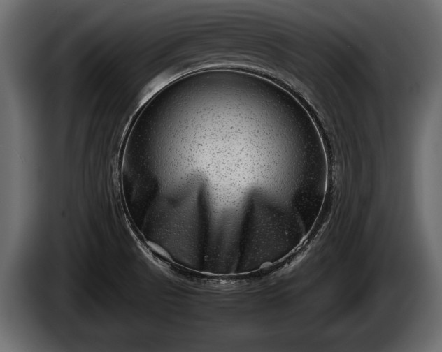 X0000085731521200703231037