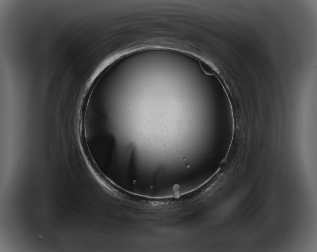 X0000085731523200703231037