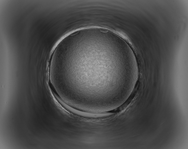 X0000085731524200703231037