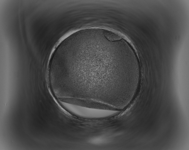 X0000085731525200703231037