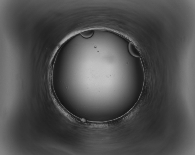 X0000085731526200703231037