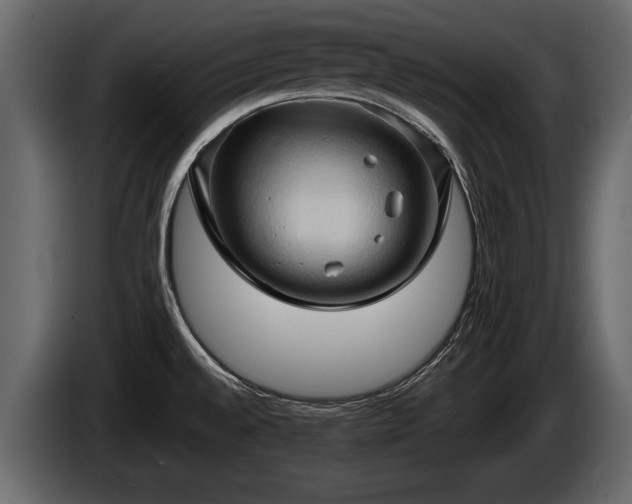 X0000085731528200703231037