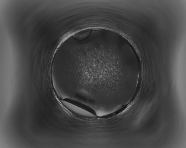 X0000085731529200703231037