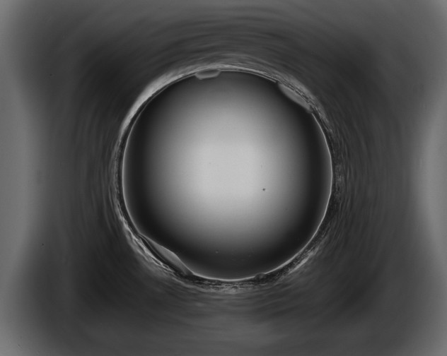 X0000085731530200703231037