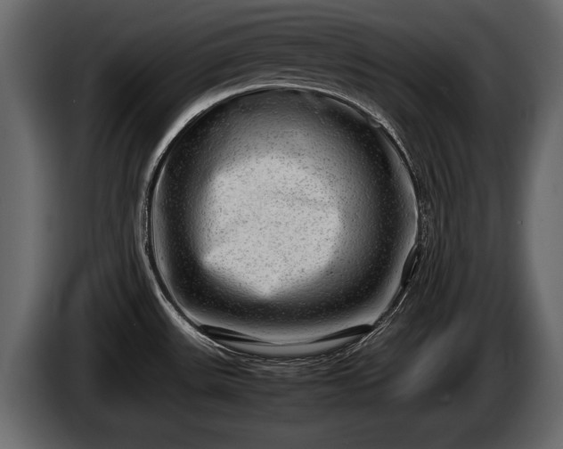 X0000085731531200703231037