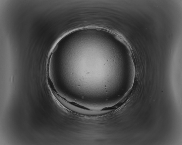 X0000085731532200703231037