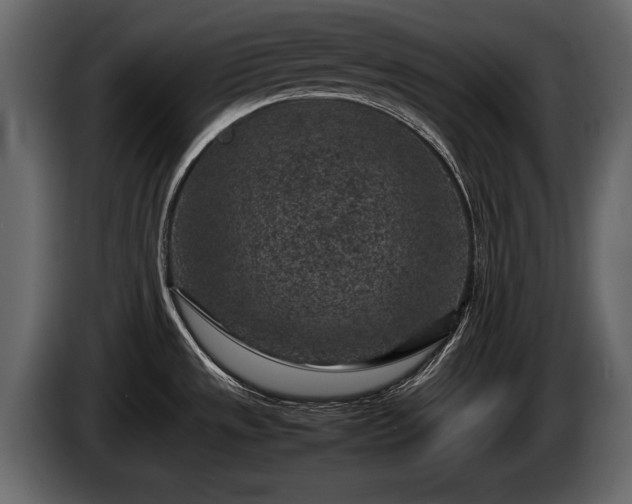 X0000085731533200703231037