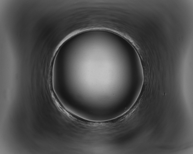 X0000085731534200703231037