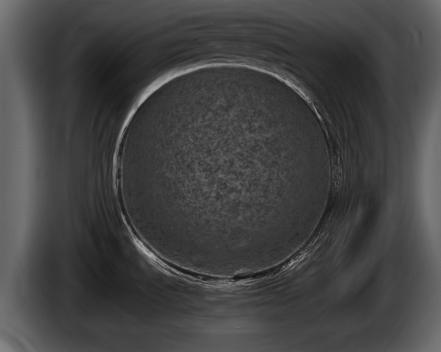 X0000085731535200703231037