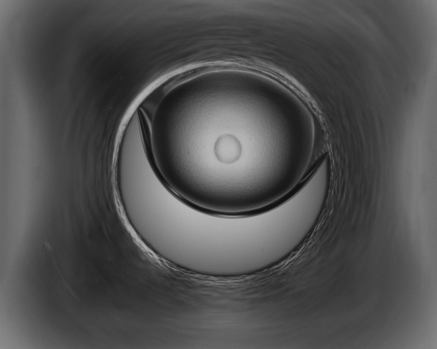 X0000085731536200703231037