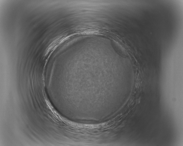 X0000085730002200703301414