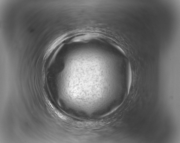 X0000085730005200703301414