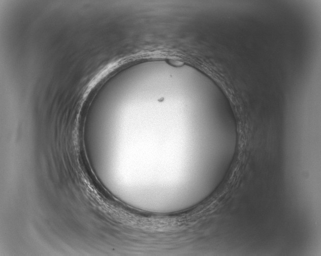 X0000085730008200703301414