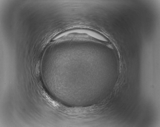 X0000085730009200703301414