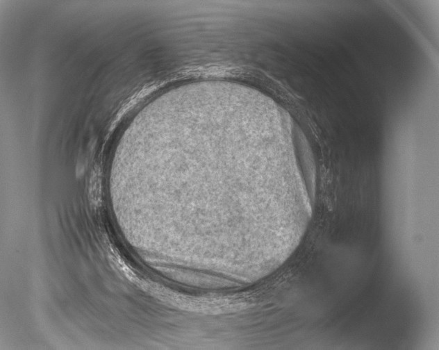 X0000085730012200703301414