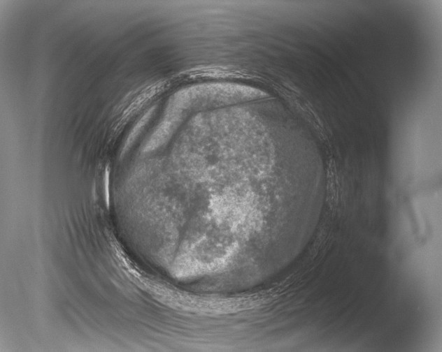 X0000085730014200703301414