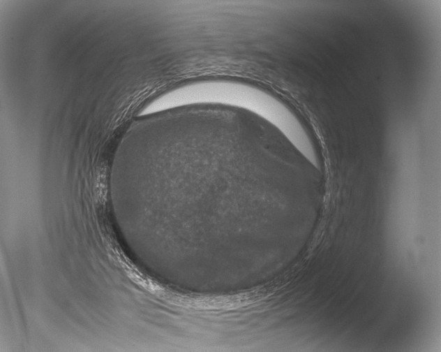 X0000085730017200703301414