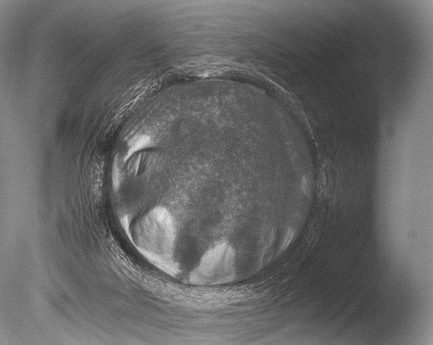 X0000085730018200703301413