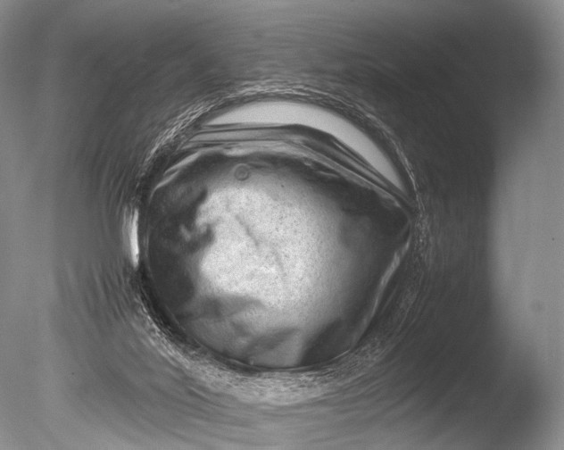 X0000085730020200703301413