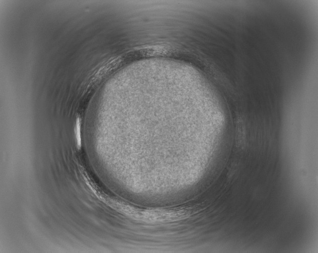 X0000085730022200703301413