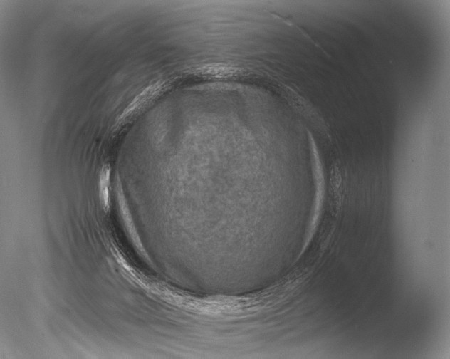 X0000085730024200703301413