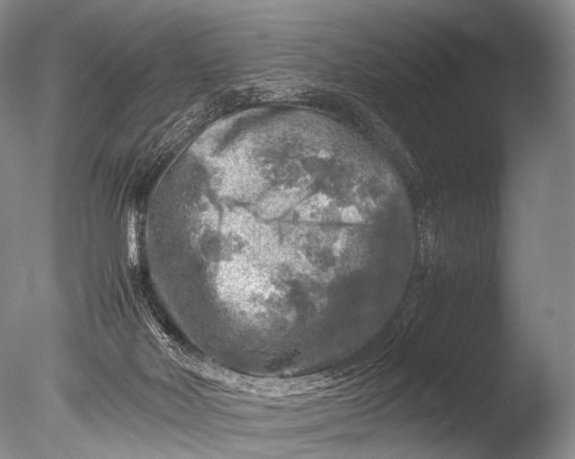 X0000085730026200703301413