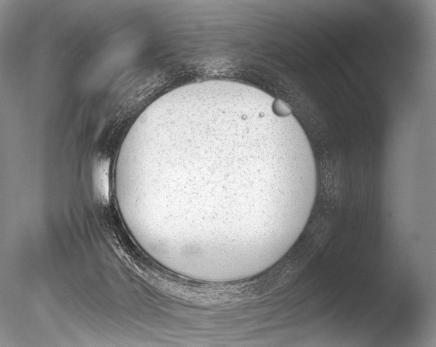 X0000085730028200703301413