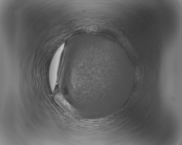 X0000085730029200703301413