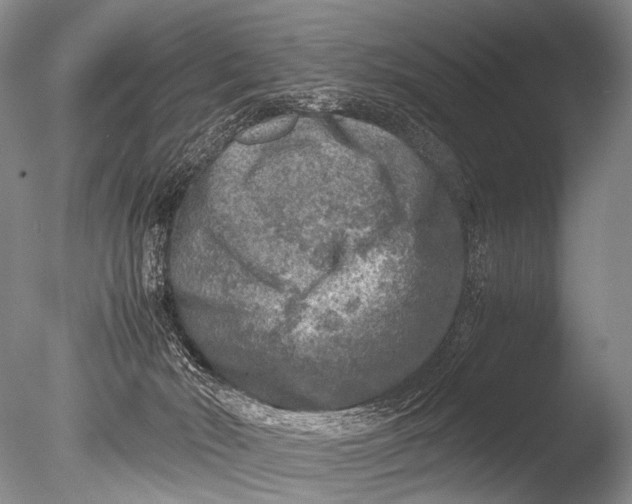 X0000085730030200703301413