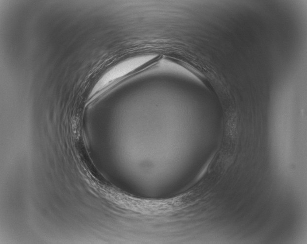 X0000085730031200703301413