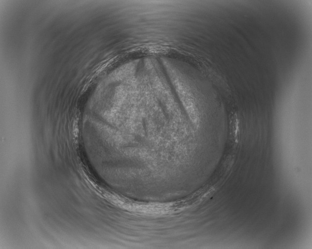 X0000085730032200703301413