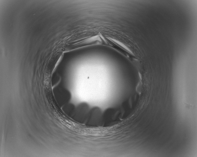 X0000085730033200703301413