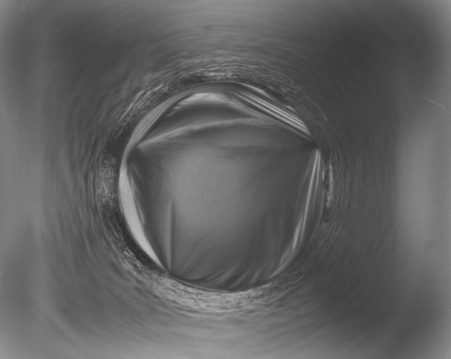 X0000085730035200703301413