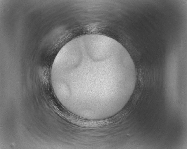 X0000085730036200703301413