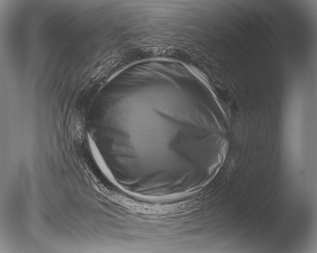 X0000085730039200703301413