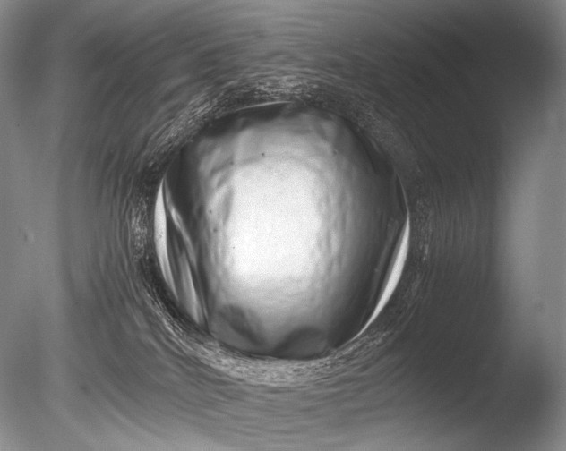 X0000085730040200703301413