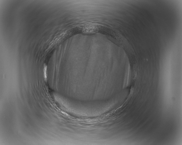 X0000085730041200703301413