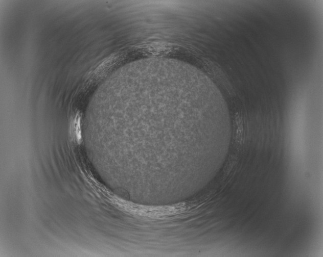 X0000085730042200703301413