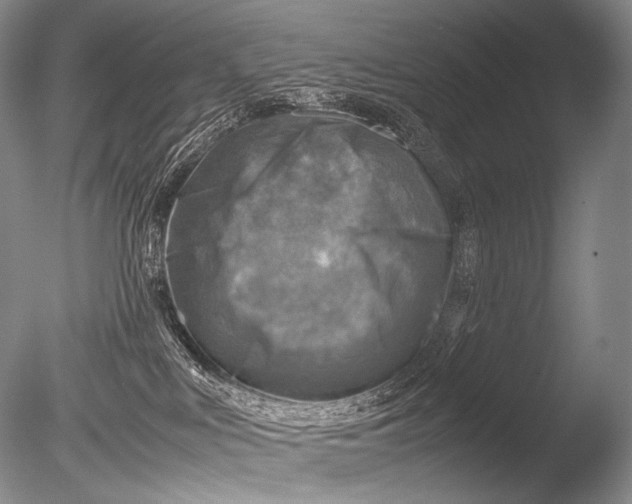 X0000085730043200703301413