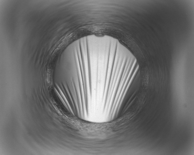 X0000085730044200703301413