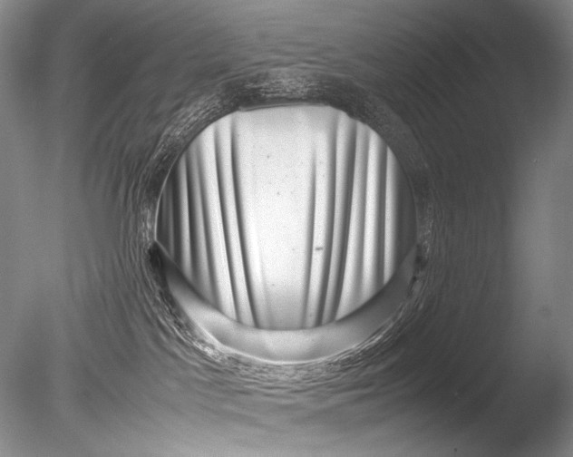 X0000085730045200703301413