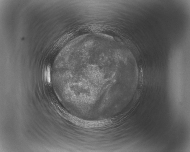 X0000085730046200703301413