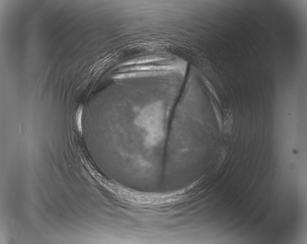 X0000085730047200703301413