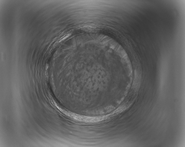 X0000085730048200703301413