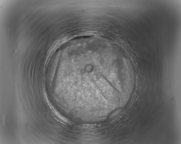 X0000085730049200703301412