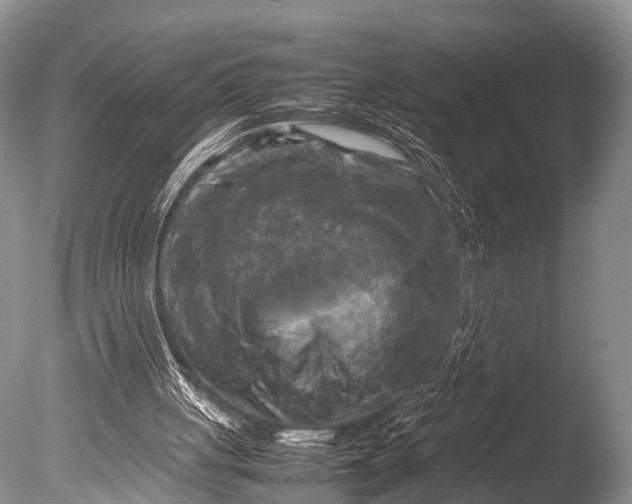 X0000085730051200703301412